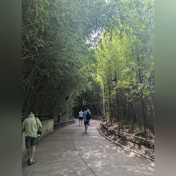 Welcome 👋 😊 - Picture 12 of 15